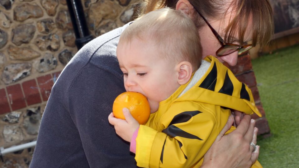 A baby in a yellow coat tries to bite into an orange while being held by an adult, showcasing early nursery weaning.