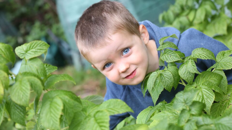 A young boy with blue eyes smiling while exploring green plants in a garden.